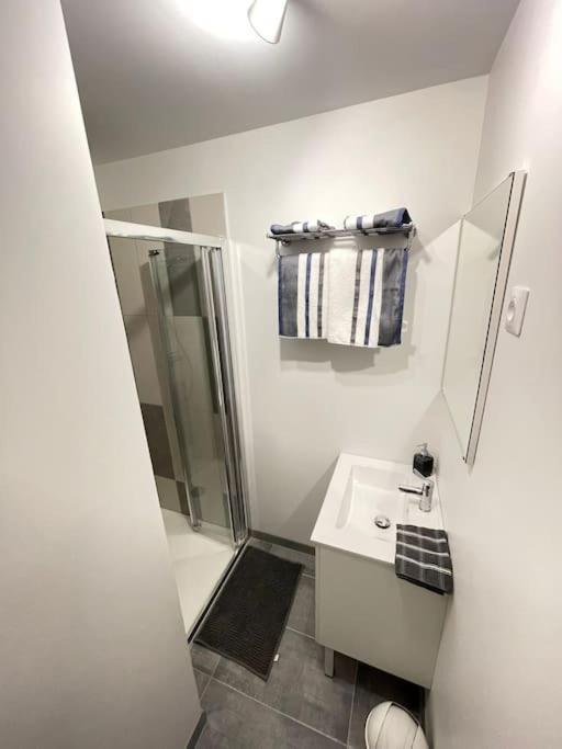 La Maisonnette Saint-Quentinoise Εξωτερικό φωτογραφία